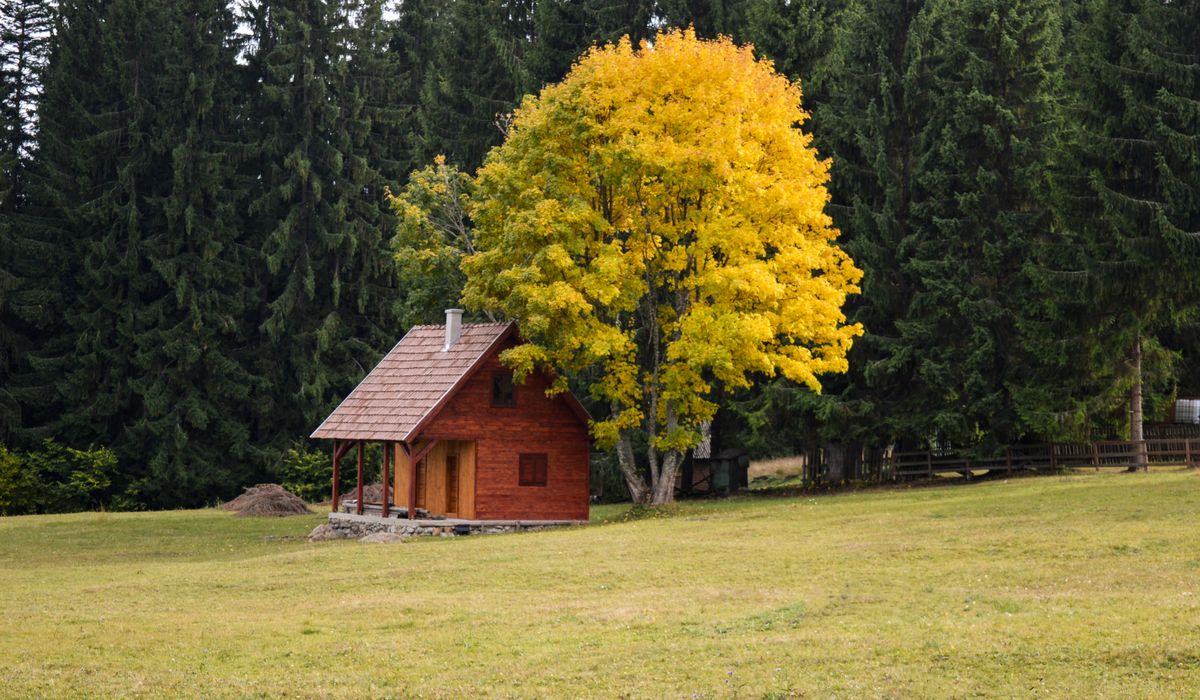 Creating a Cosy Reading Nook in a Cabin
