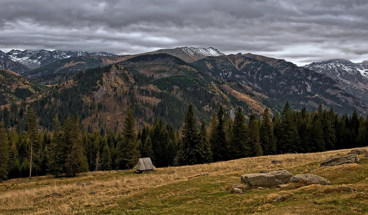 How to Rent Out a Cosy Cabin Successfully